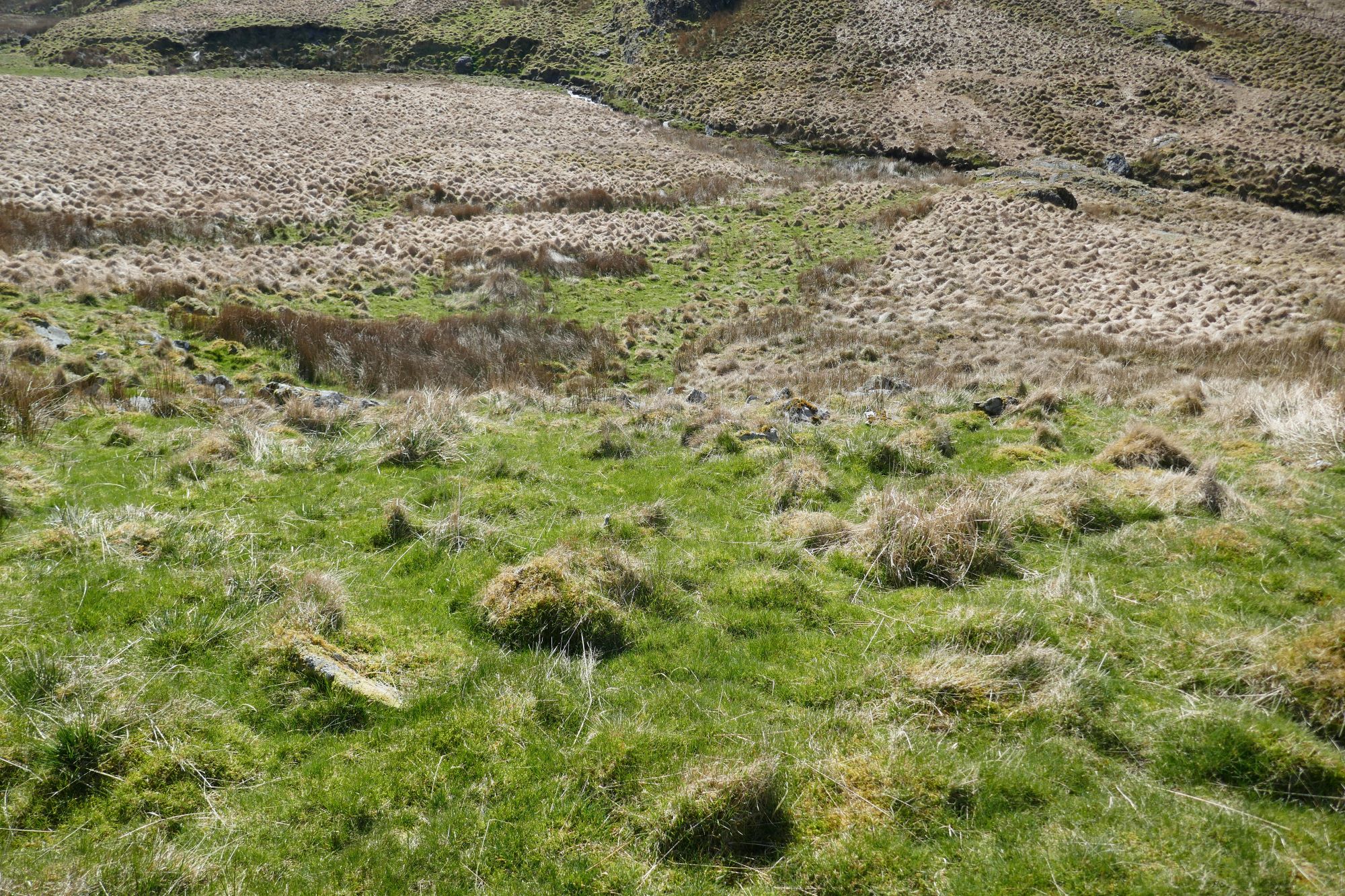 RachelSeabrook.net | Wild Walking | Cwm Gwerin | pic34